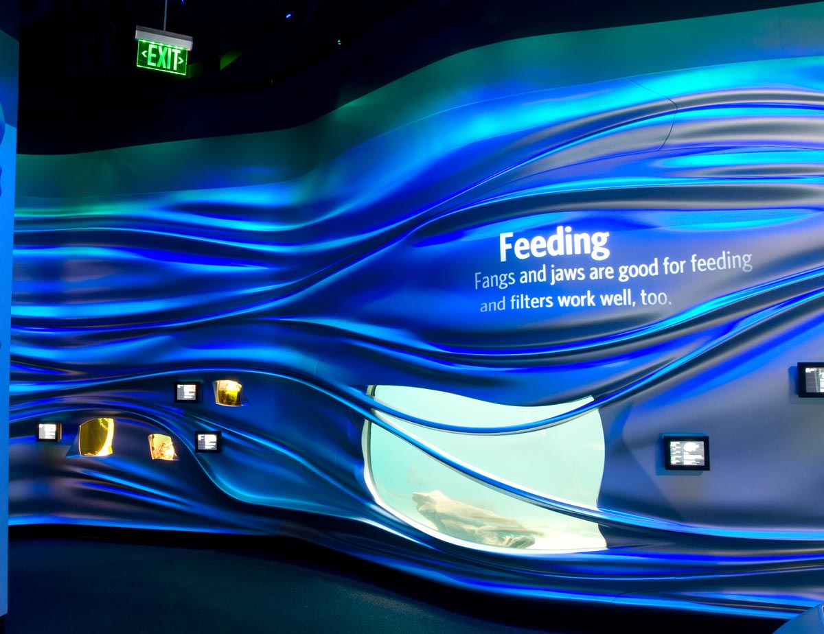 lorem ipsum dolor sit