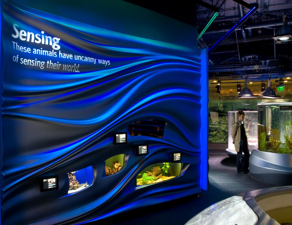 lorem ipsum dolor sit