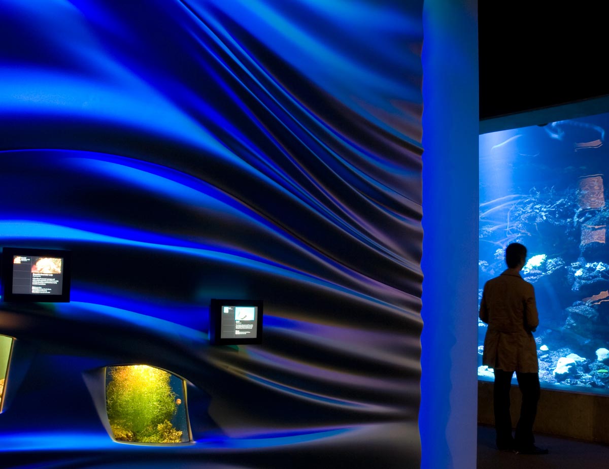 lorem ipsum dolor sit