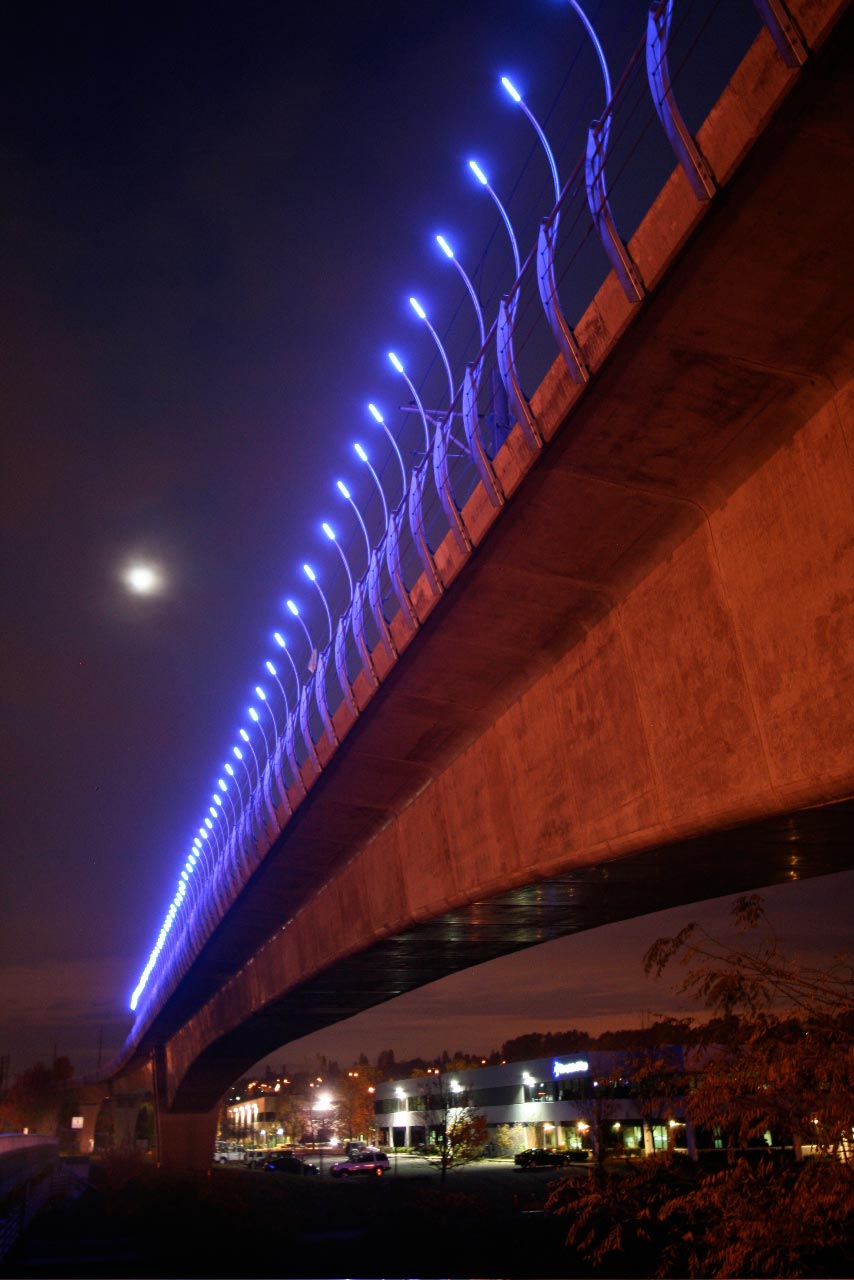 lorem ipsum dolor sit