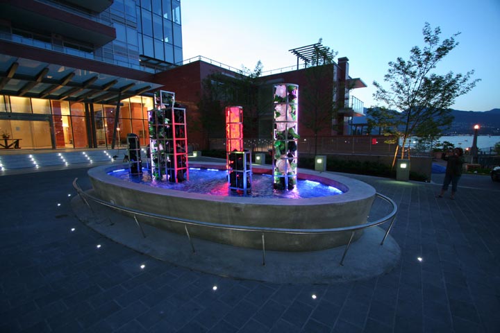 lorem ipsum dolor sit